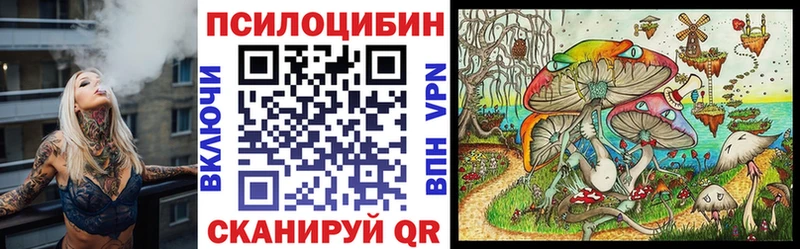 Галлюциногенные грибы мицелий  blacksprut сайт  Курск 
